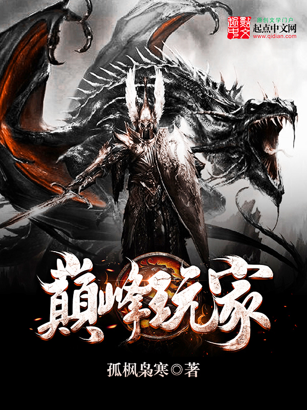 巅峰玩家小说百科